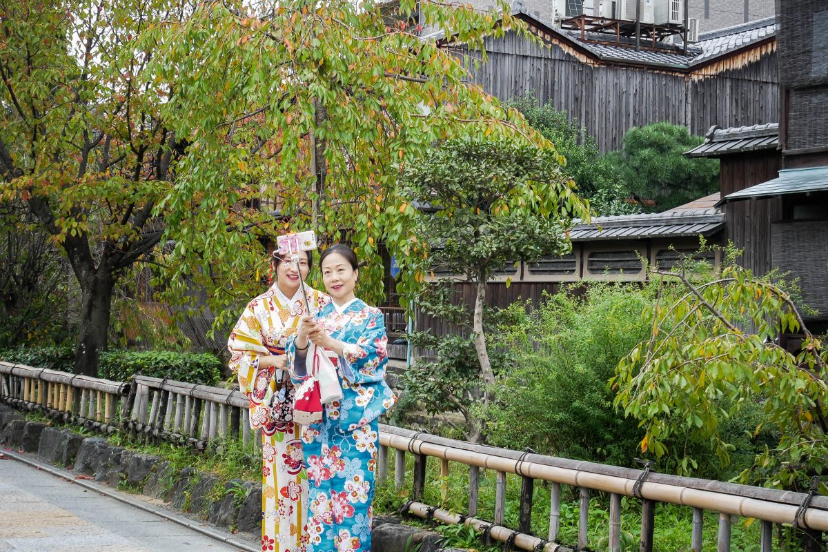 japan kyoto tree travel villege