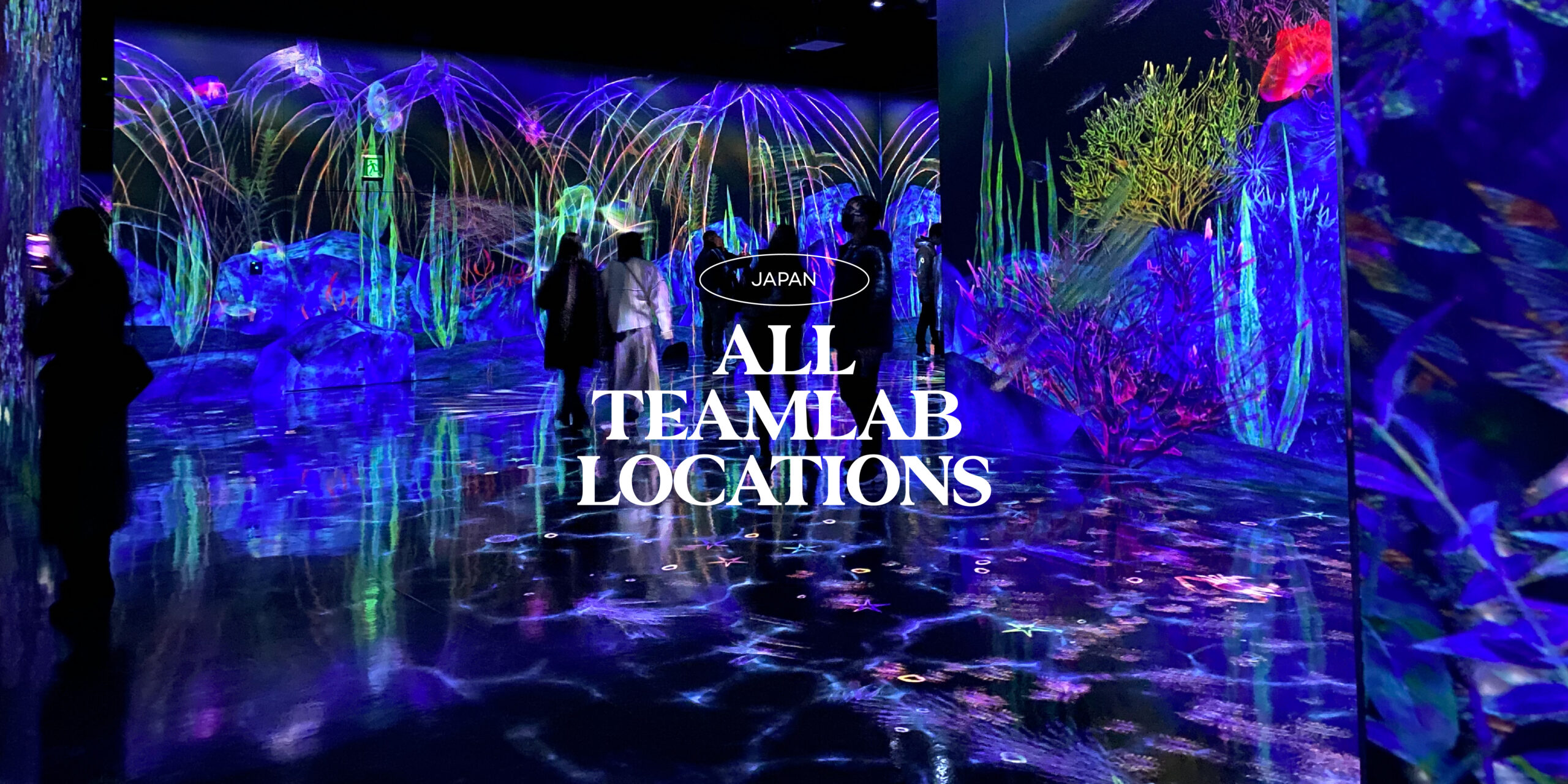 Teamlab Japan